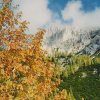 Herbststimmung in der Ramsau